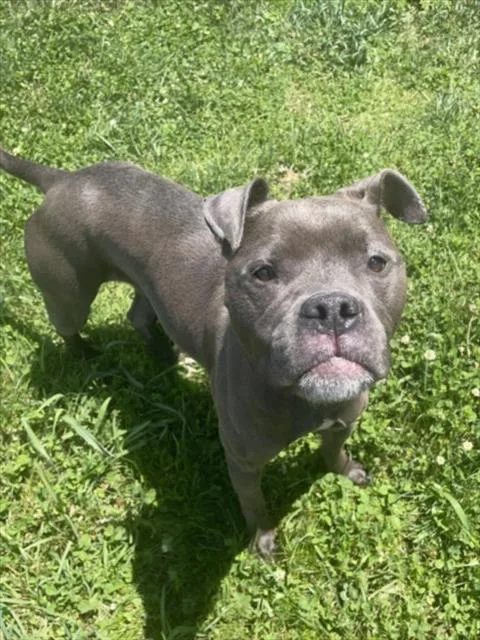 Ryder