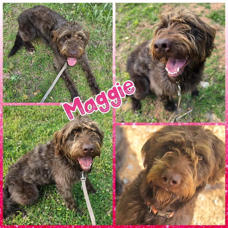 Maggie