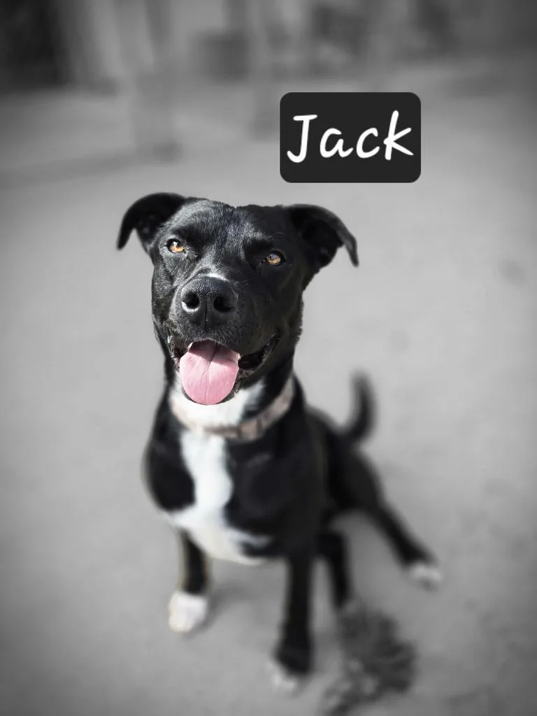 Jack