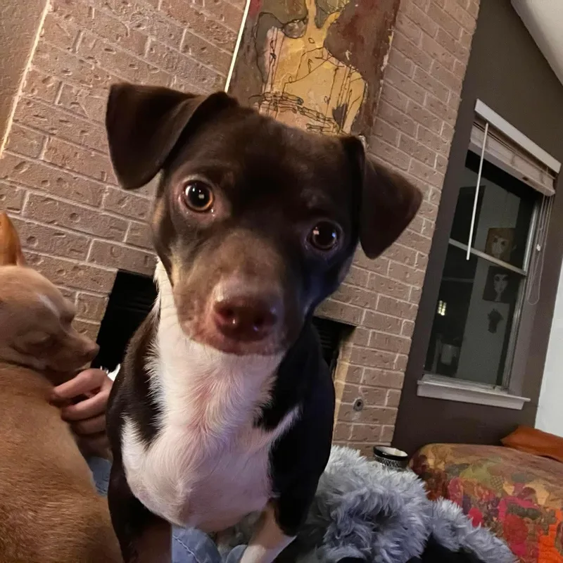 Lenny thumbnail 5