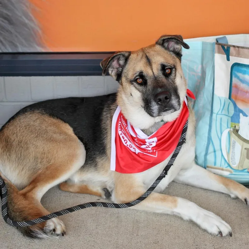 Marcos C thumbnail 2