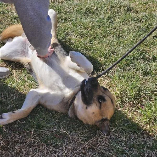 Marcos C thumbnail 3