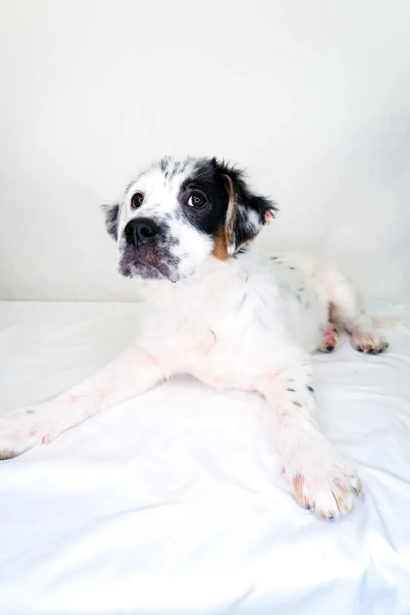 Cristina thumbnail 2