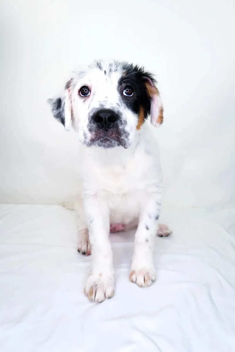 Cristina thumbnail 3