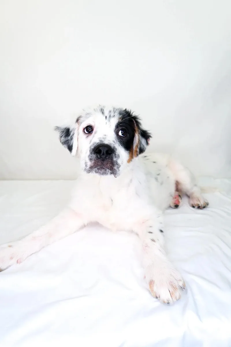 Cristina thumbnail 4