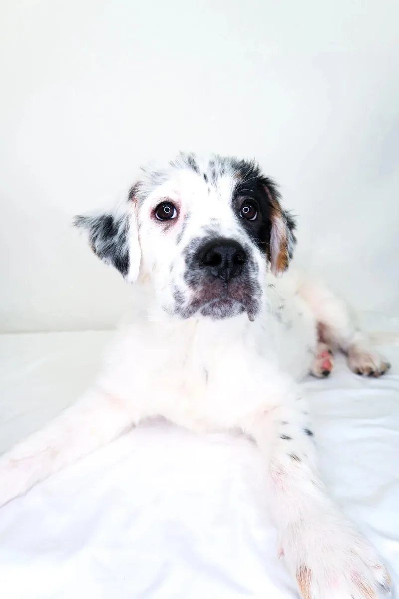 Cristina thumbnail 5