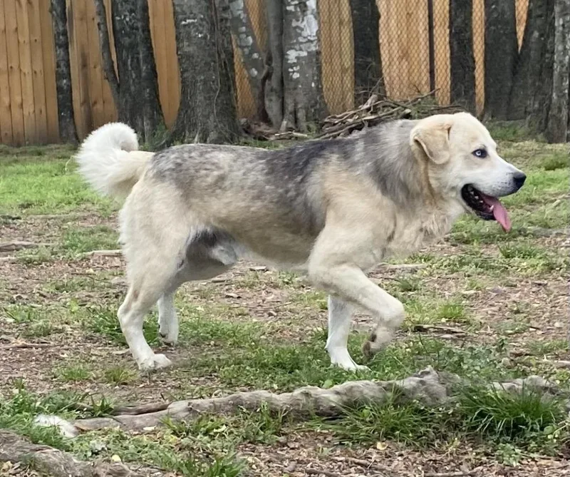 Sinatra thumbnail 2