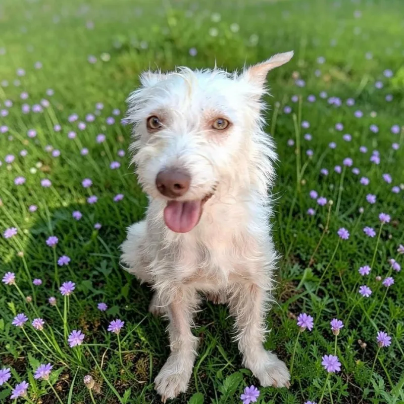 Maggie thumbnail 3