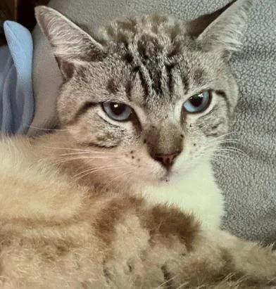 Skye