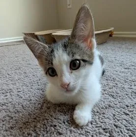 Baby Mia
