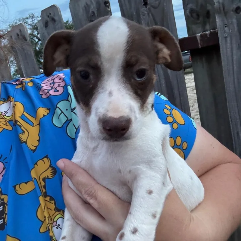 Two Tone thumbnail 2