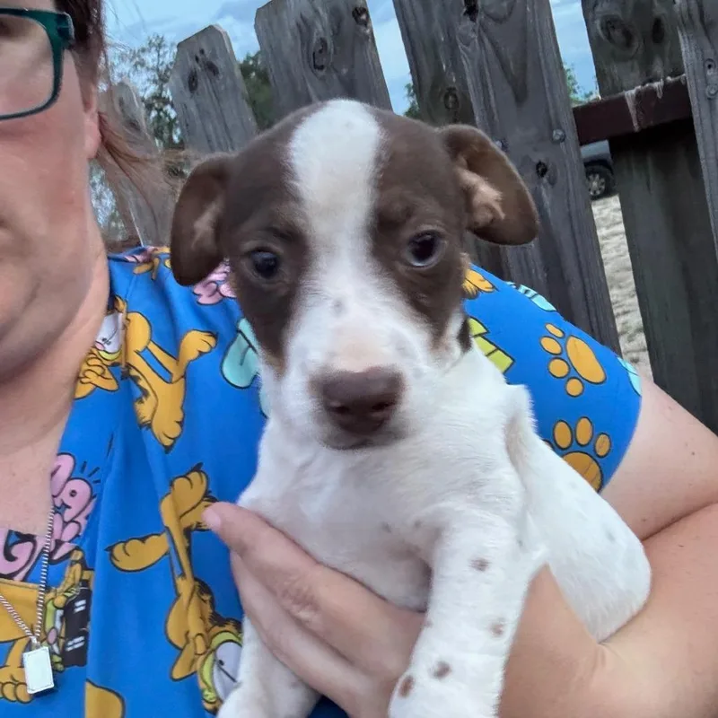 Two Tone thumbnail 3