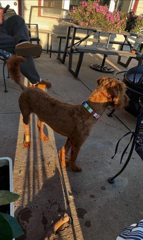 Sancho  Courtesy Listing thumbnail 2