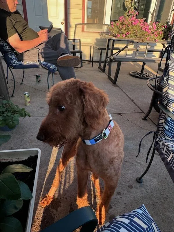 Sancho  Courtesy Listing thumbnail 3