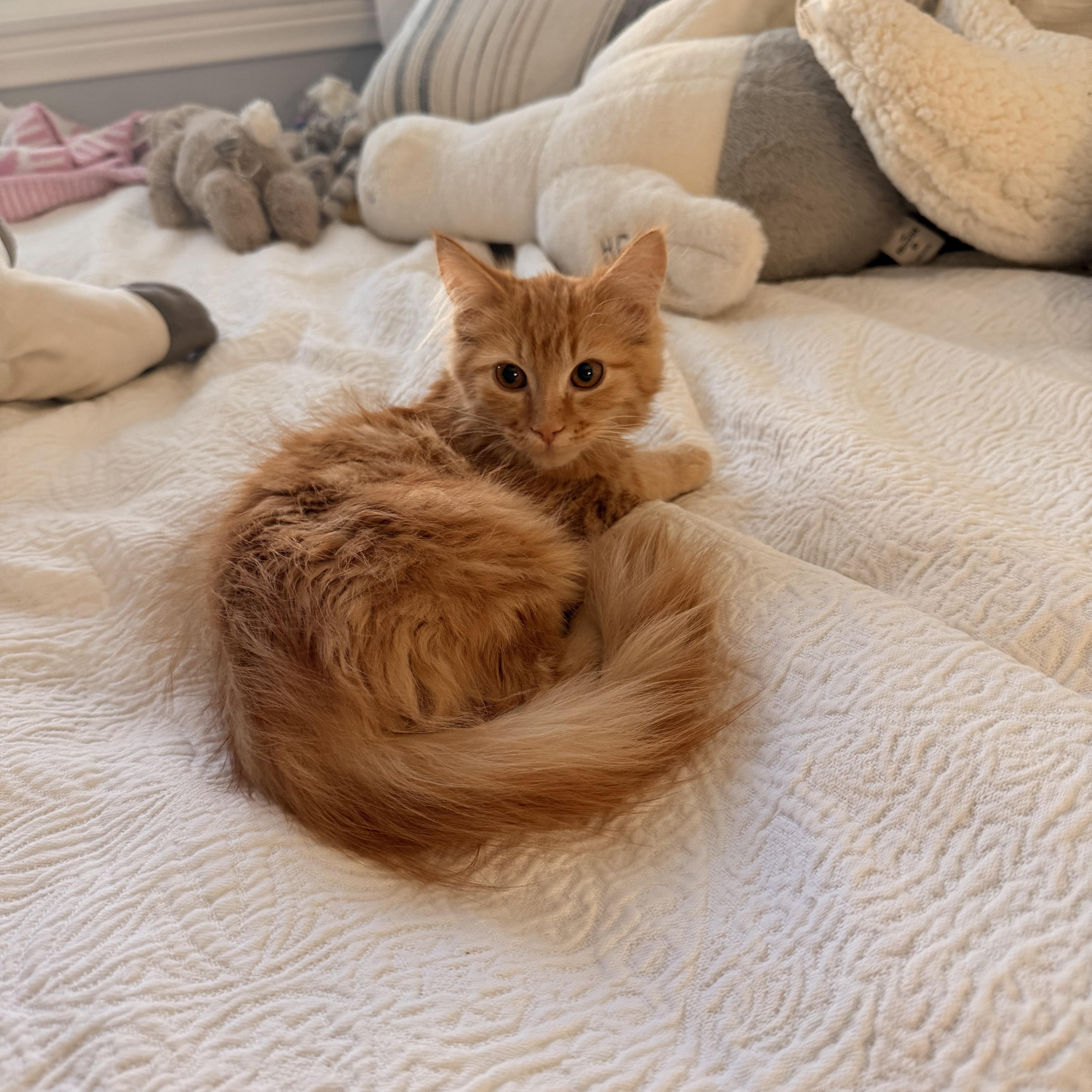Tigger thumbnail 4