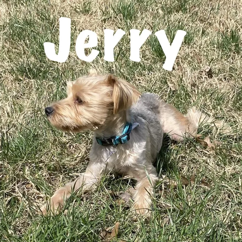 Jerry