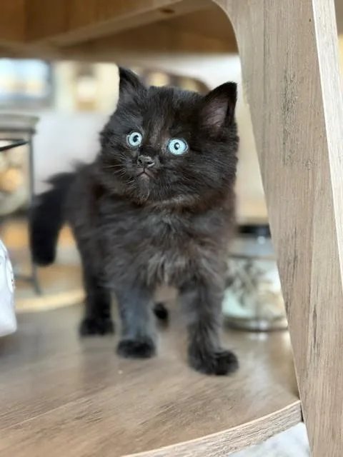 Tina