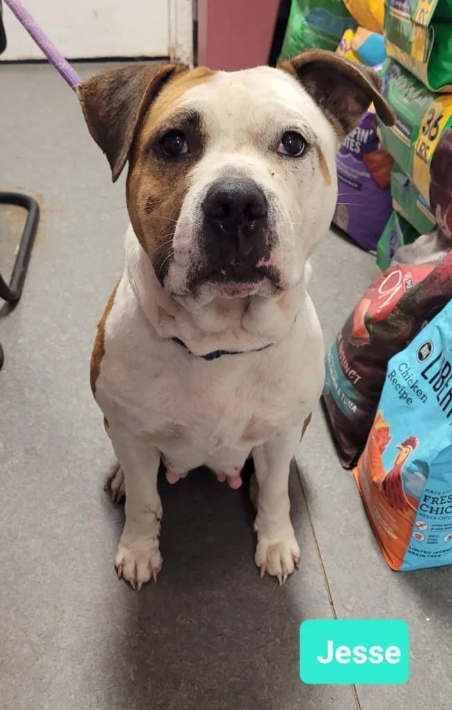 Jessesponsored thumbnail 2