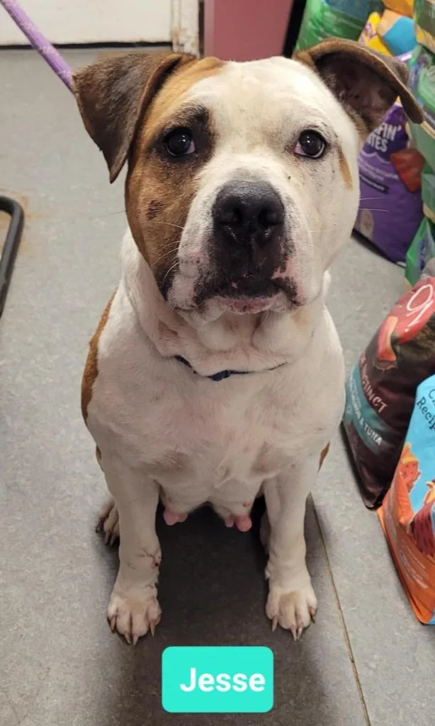 Jessesponsored thumbnail 3