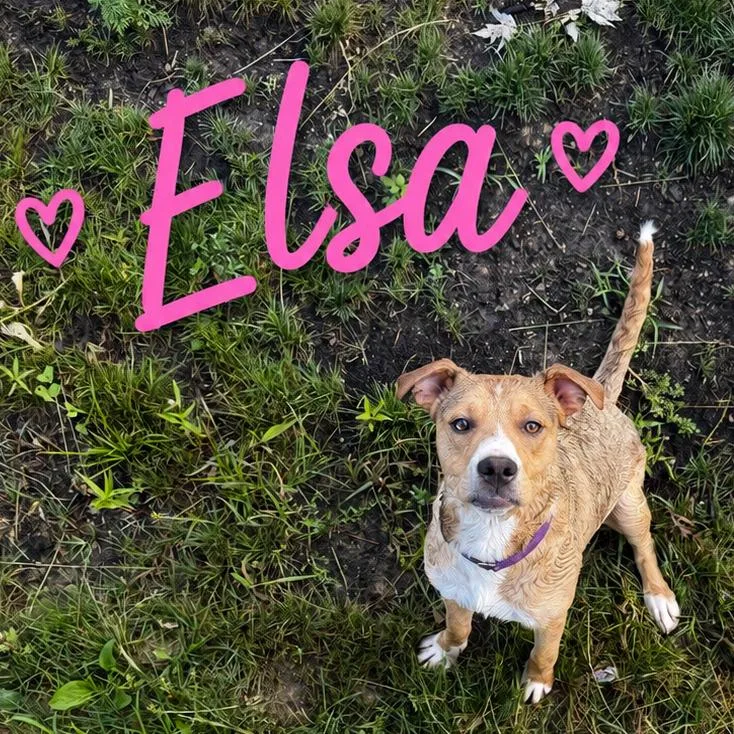 Elsa thumbnail 2