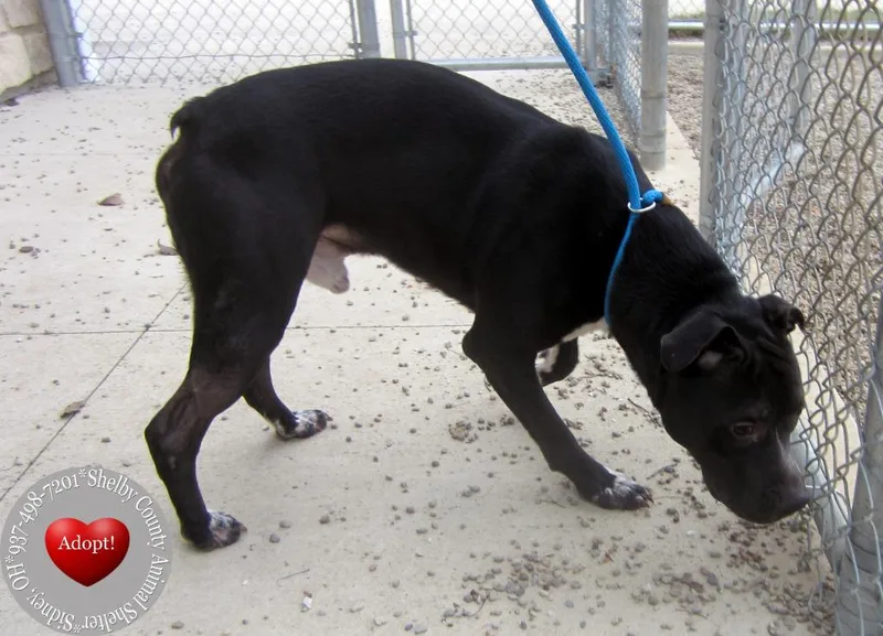 Koen Yrly thumbnail 2