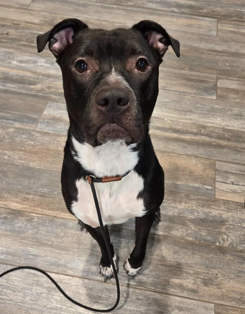 Koen Yrly thumbnail 3