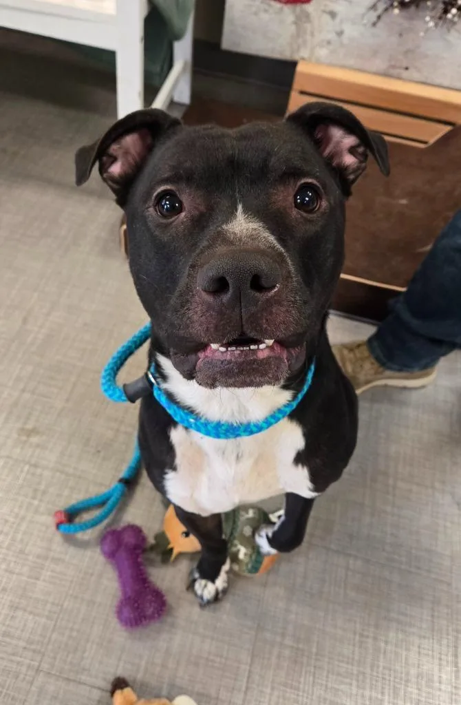 Koen Yrly thumbnail 5