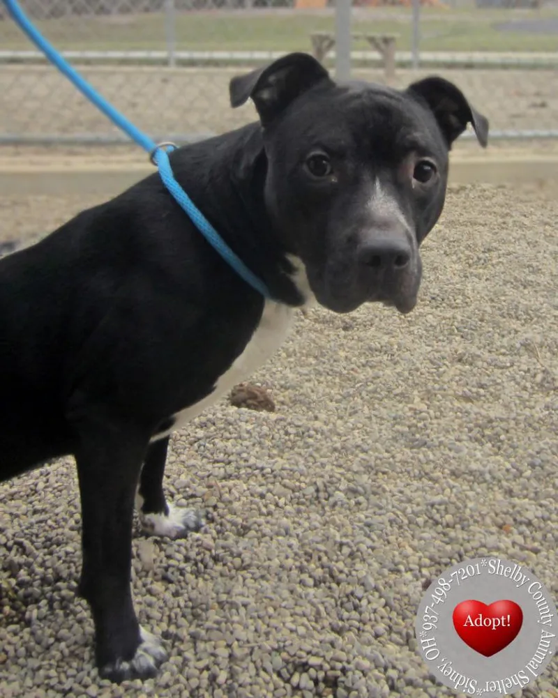 Koen Yrly thumbnail 6