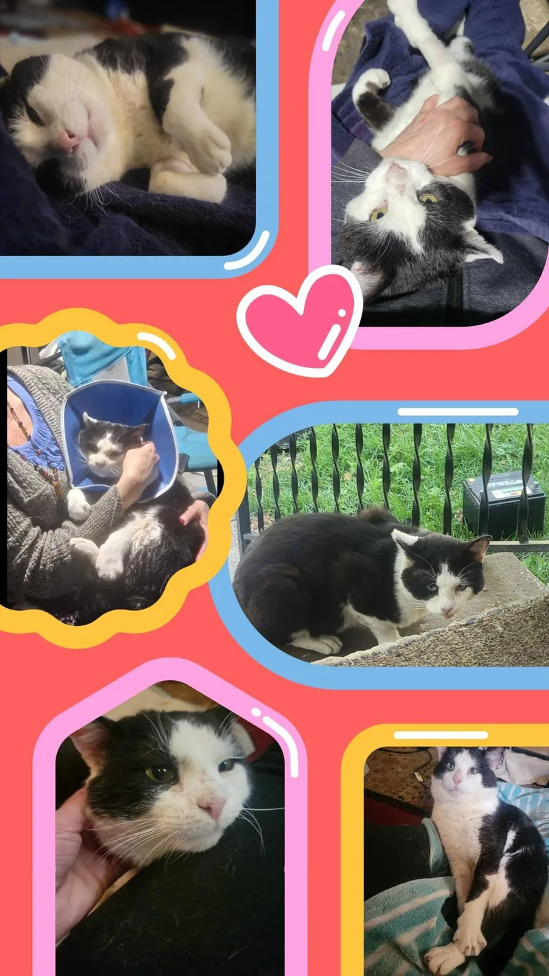 Cheekers thumbnail 2