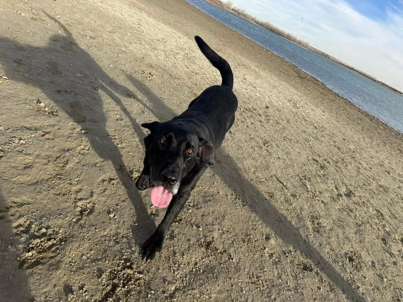 Bodfish  Bo thumbnail 2