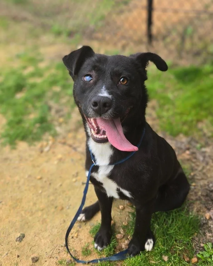 Midnight thumbnail 4