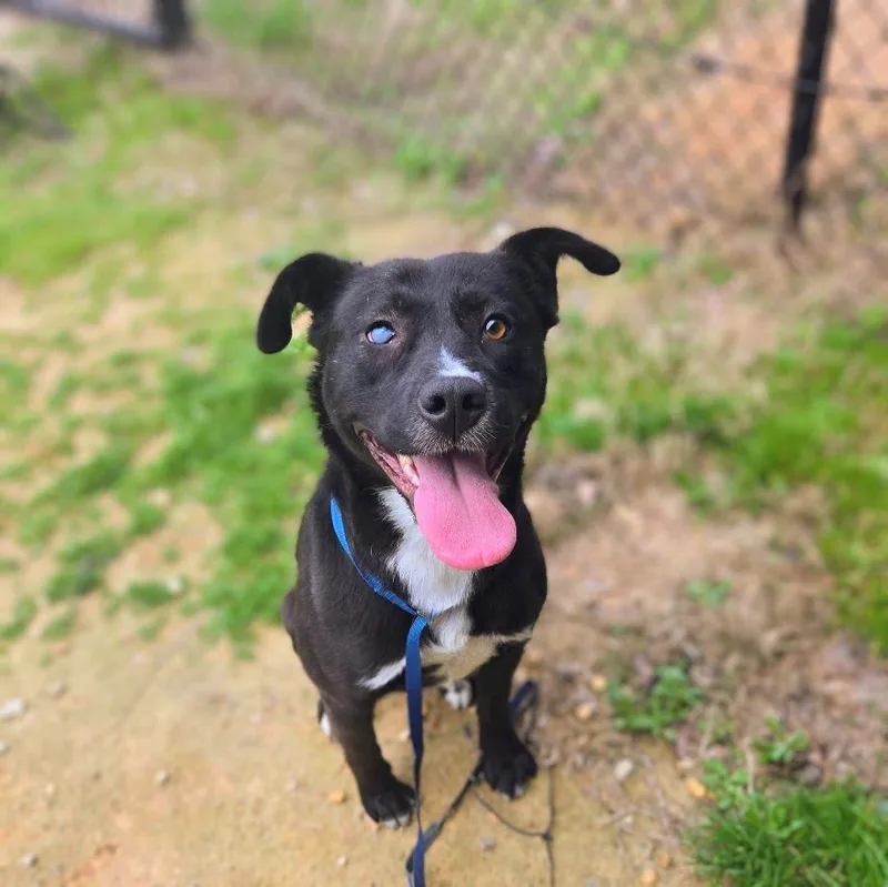 Midnight thumbnail 5