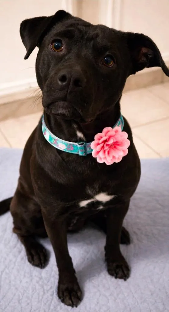 Luna Vartenian thumbnail 2