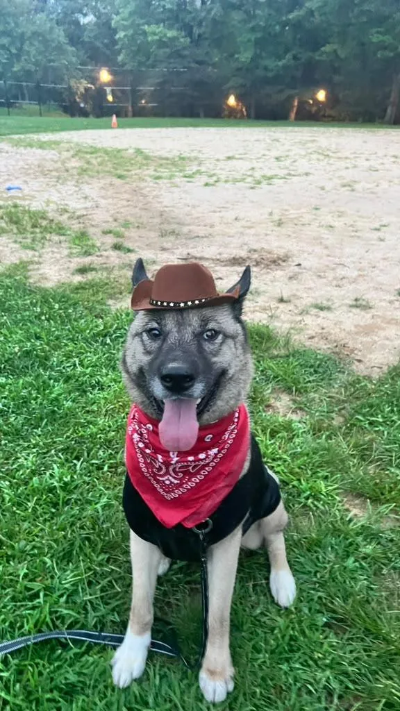 Max