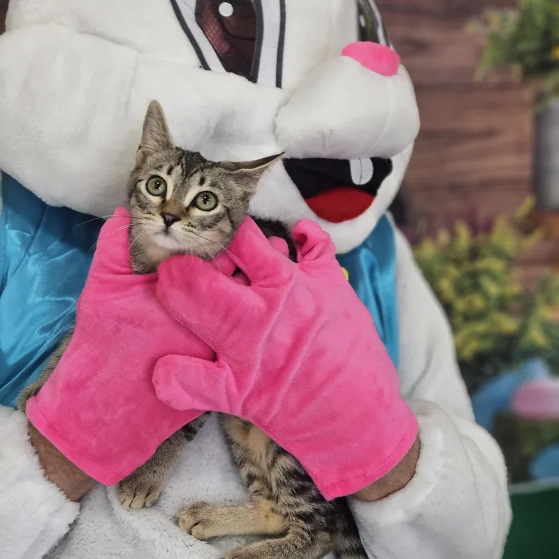 Luna Glober Trotter thumbnail 2