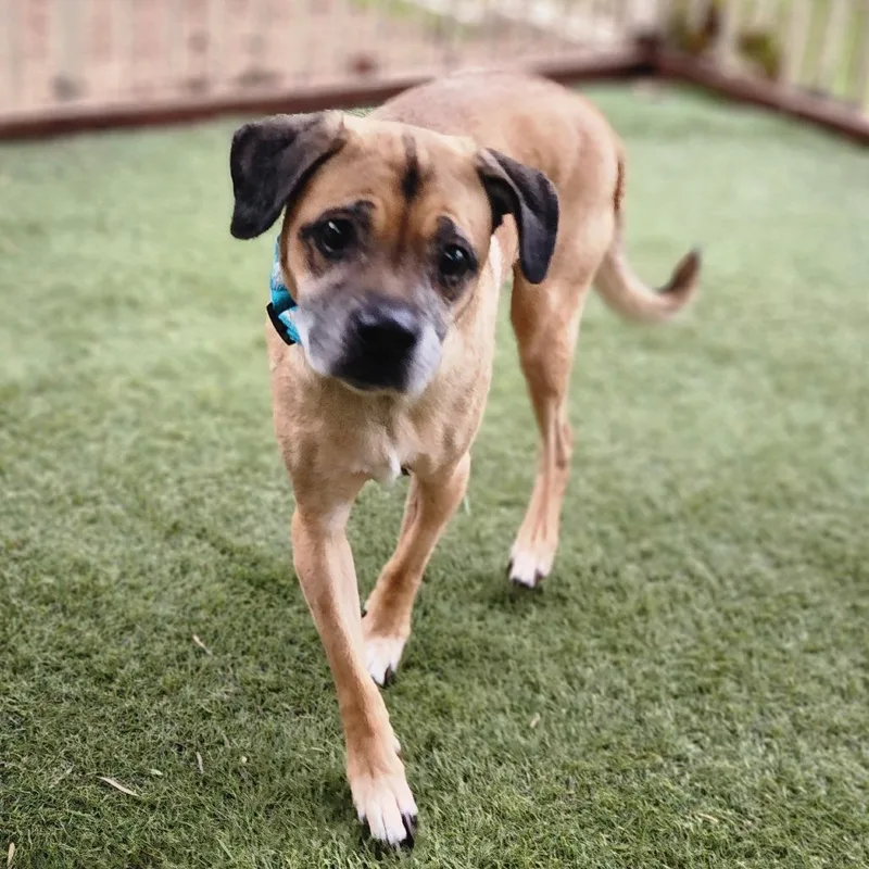 Kylo  Costa Mesa thumbnail 2