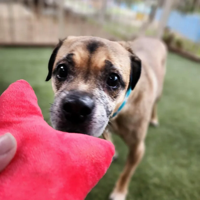 Kylo  Costa Mesa thumbnail 3