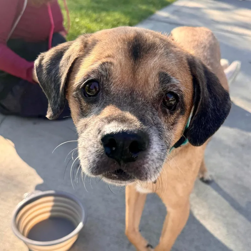 Kylo  Costa Mesa thumbnail 4