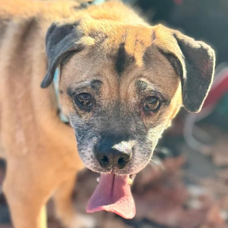 Kylo  Costa Mesa thumbnail 5