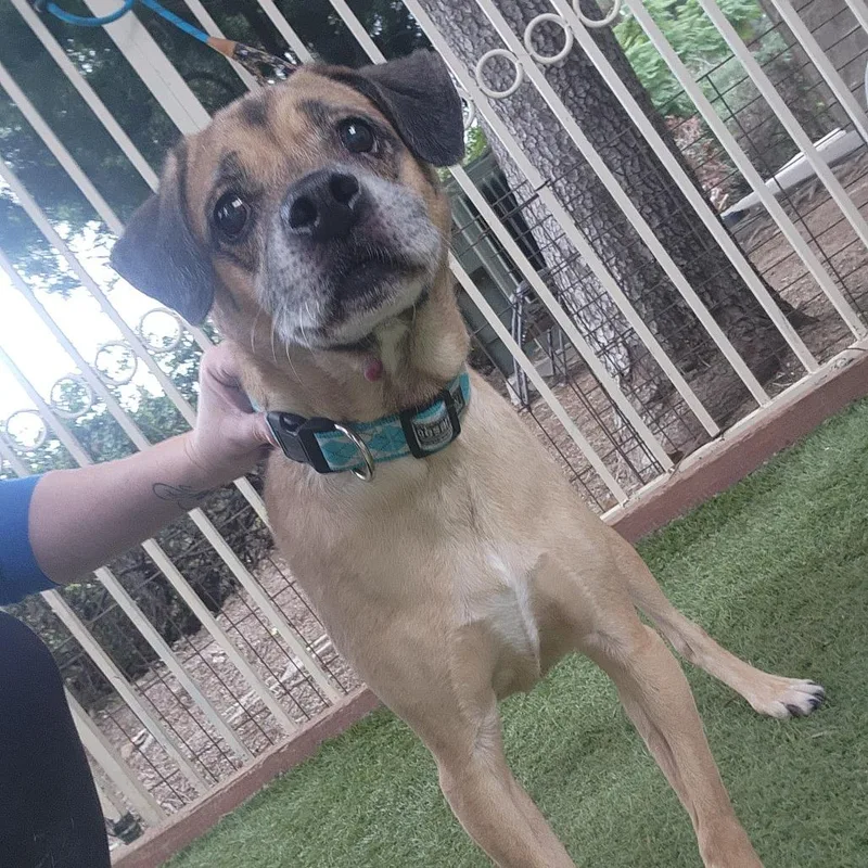 Kylo  Costa Mesa thumbnail 6