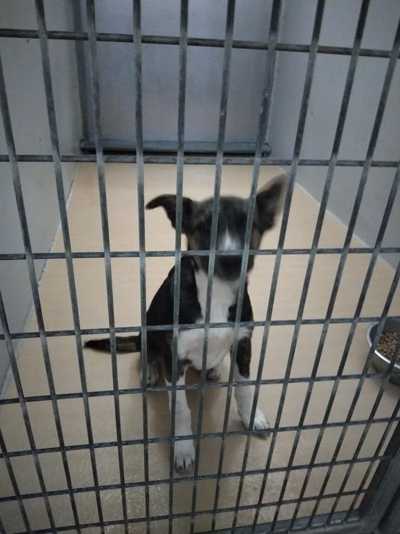 Ms.tinker thumbnail 2