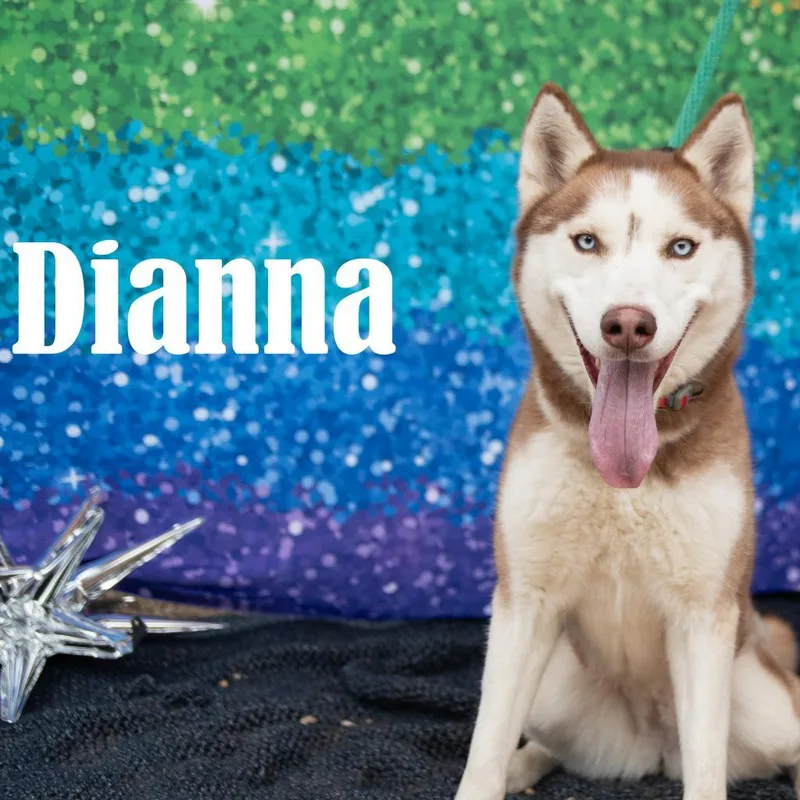 Dianna thumbnail 3