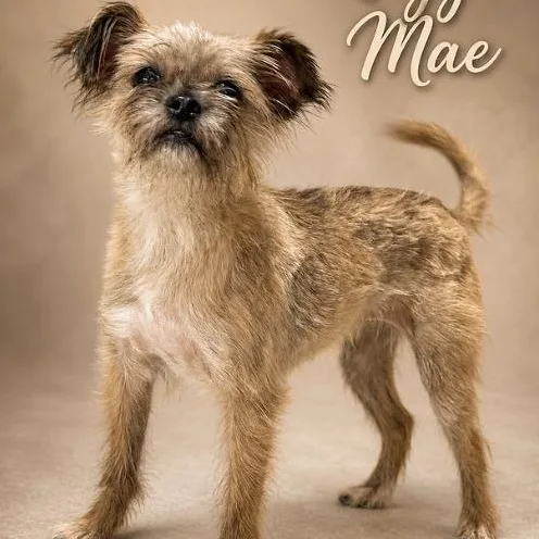 Maggie mae
