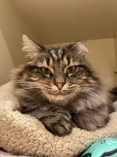 P&k: Kerouac thumbnail 2