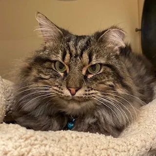 P&k: Kerouac thumbnail 3