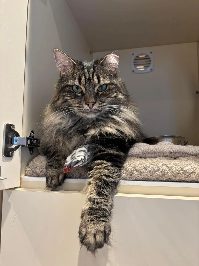 P&k: Kerouac thumbnail 4