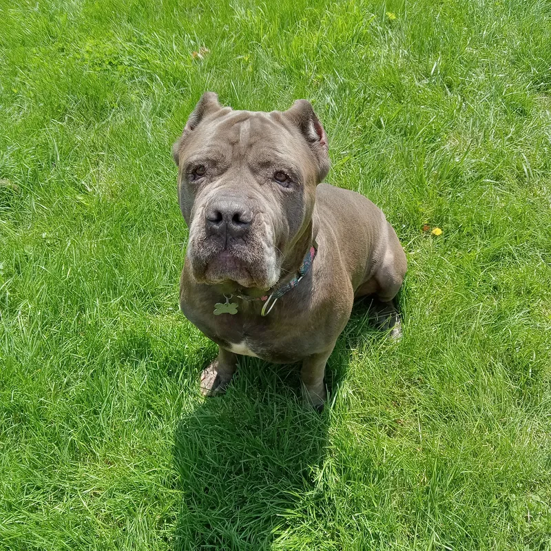 Bella