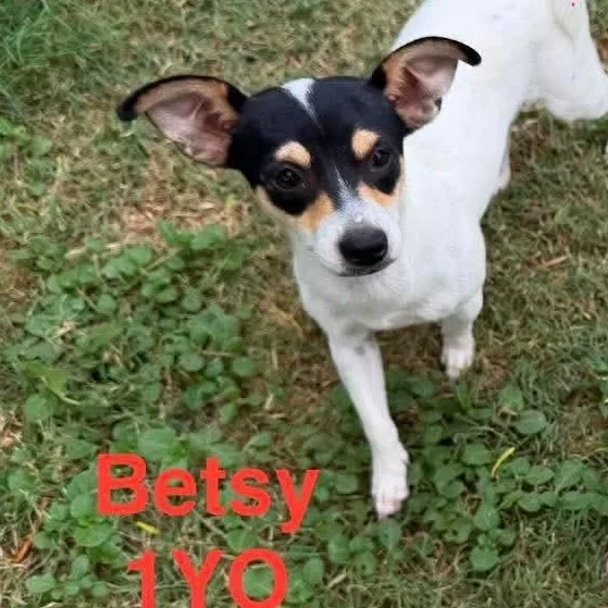 Betsy