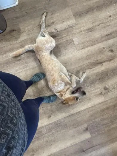 Donnor thumbnail 6