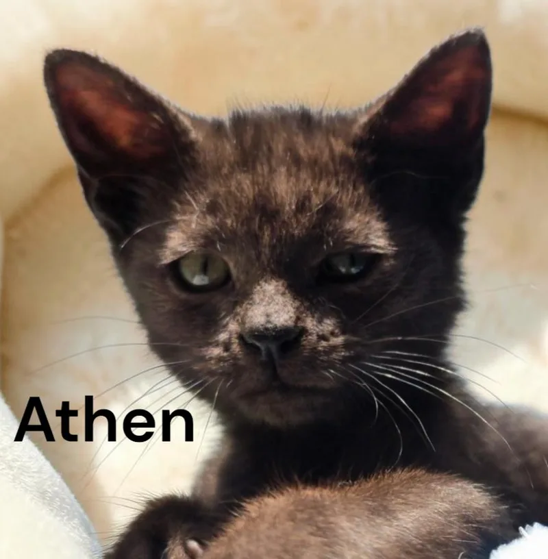 Athen thumbnail 2